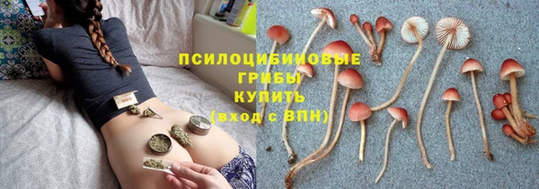 стафф Алексин