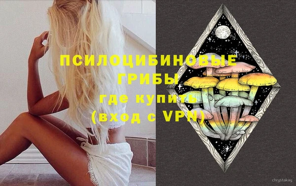 стафф Алексин